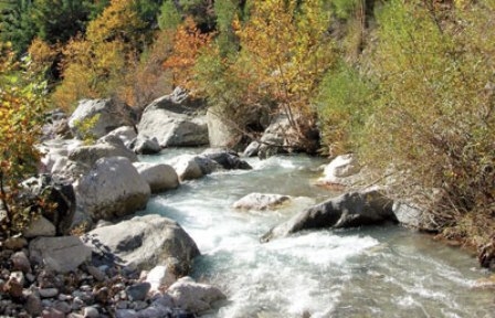 Munzur maden projesine yargı engeli