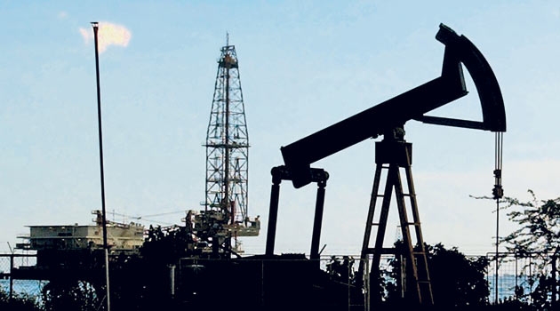 TPAO`nun dört petrol arama talebi reddedildi