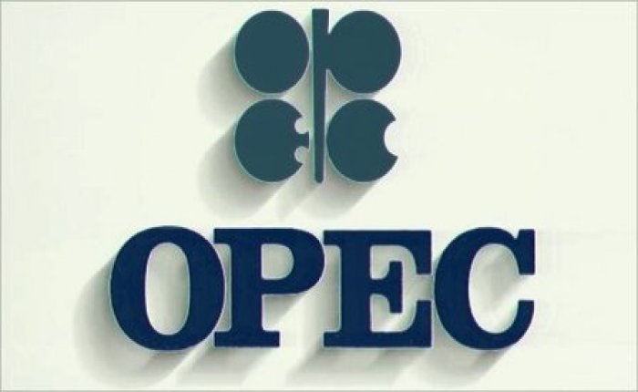 OPEC Petrol Sepeti geriledi