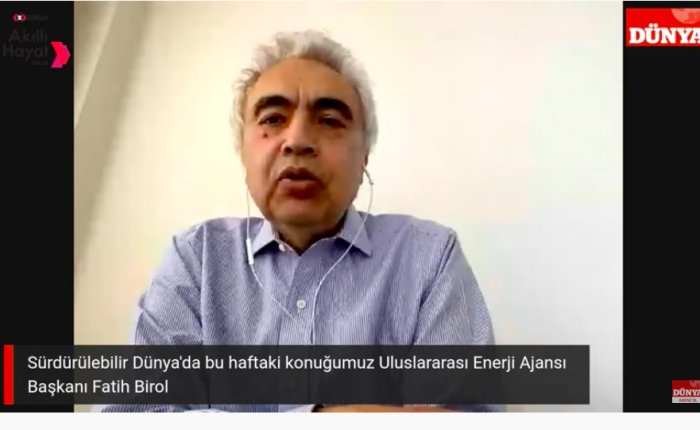 Birol: Talebin düşmediği tek teknoloji yenilenebilir enerji