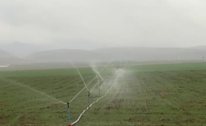 Mardin’de yağmurda kaçak elektrikle sulama yapıldı