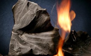 Hollanda kaya gazı çalışmalarını yasakladı