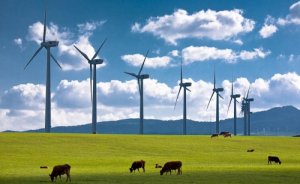 2016'da Türkiye'de 49 rüzgar santrali kuruldu