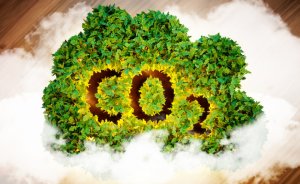 Almanya şirketlere karbon salımı yardımını uzatabilir