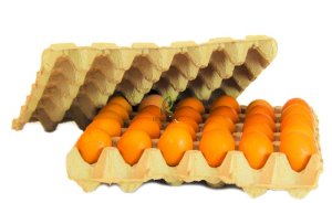 Arkoç Metal, atıklardan yumurta viyolü üretecek