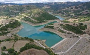 TMSF RHG Enertürk’ün satış ihalesini yeniden yapıyor