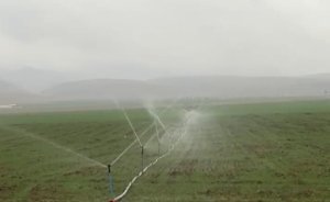 Mardin’de yağmurda kaçak elektrikle sulama yapıldı