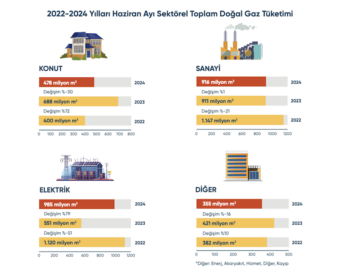 haziran-2024-dogalgaz-tuketimi.png